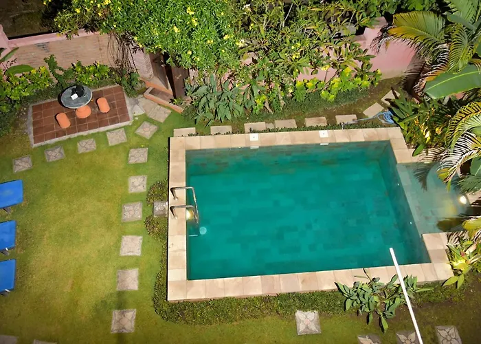 Bali Blue Gecko * Amed