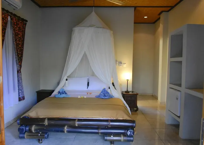 Bali Blue Gecko * Amed