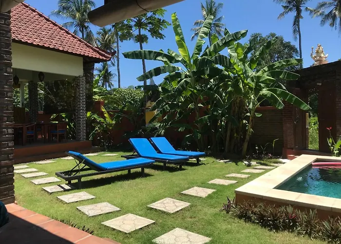 Bali Blue Gecko Amed